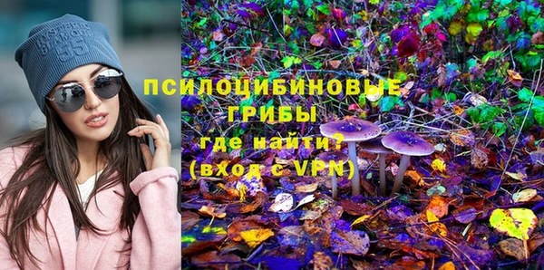 крисы Алексин
