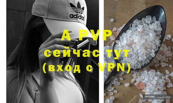 крисы Алексин