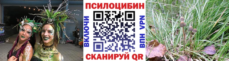 Псилоцибиновые грибы прущие грибы  где найти   Гдов 